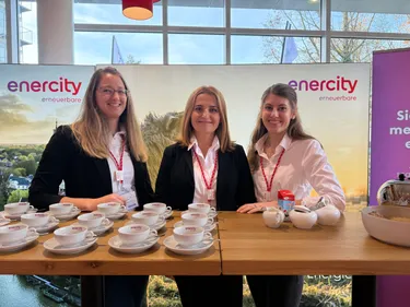 Ostfriesentee in der Teestuv der enercity Erneuerbare auf den Spreewindtagen