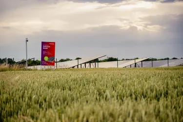 20250622- FeuerQuell Fotografie - 6-2