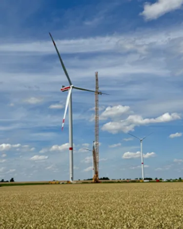 Windräder auf einem Feld