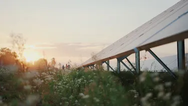 Solarpanels auf einem Feld während des Sonnenuntergangs