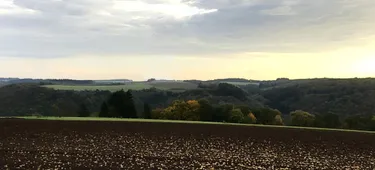 enercity baut Windpark auf Vulkaneifel-Hochplateau