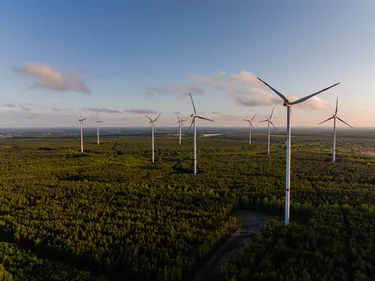 Windanlagen in einem landwirtschaftlichen Forst