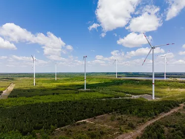 Windenergieanlagen im enercity Windpark Schipkau
